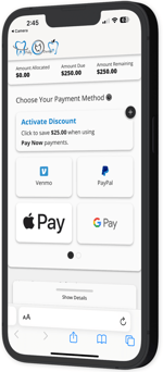 digital_payments_art